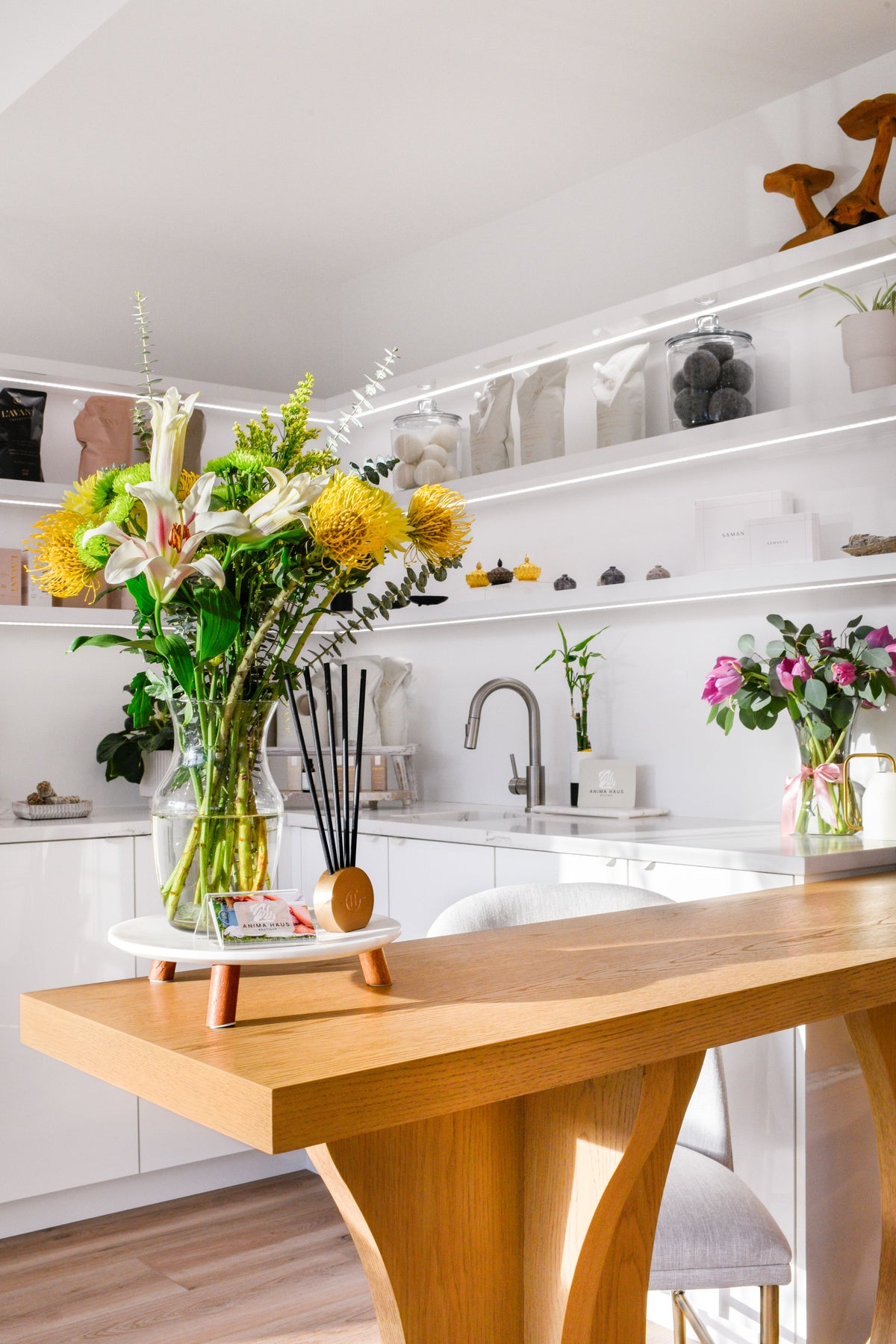 Our Story: What Anima Haus Means