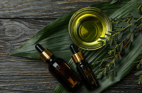 Plant Medicine: Connecting with Nature for Inner Balance