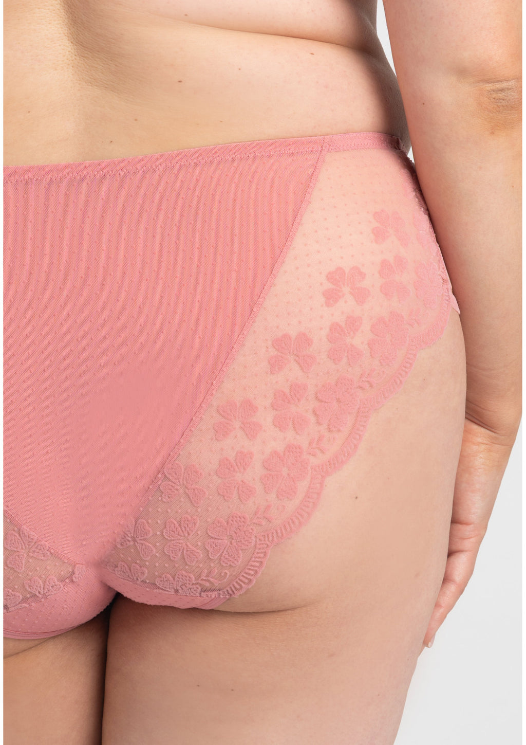Rose Lace Brief B400