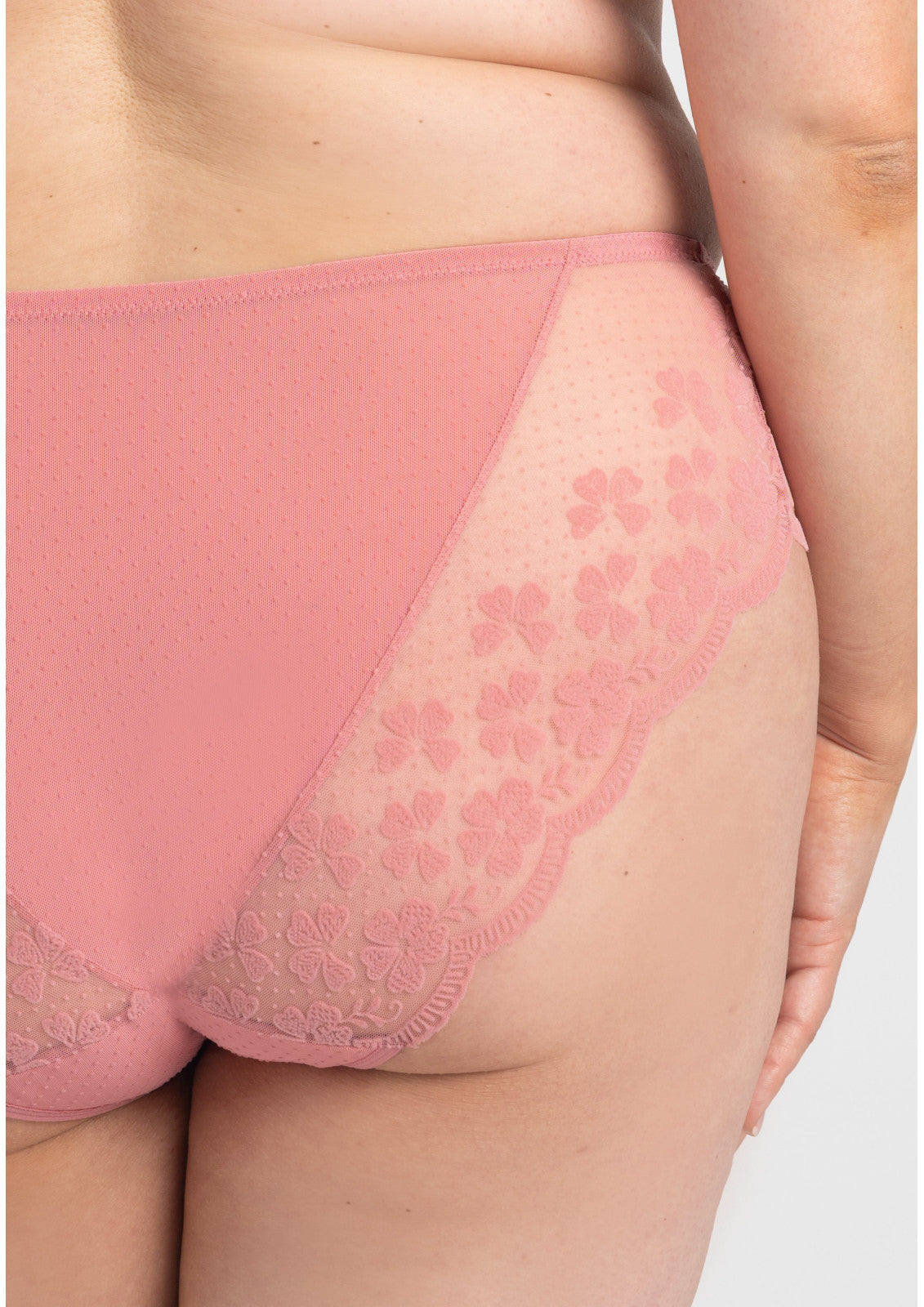 Rose Lace Brief B400