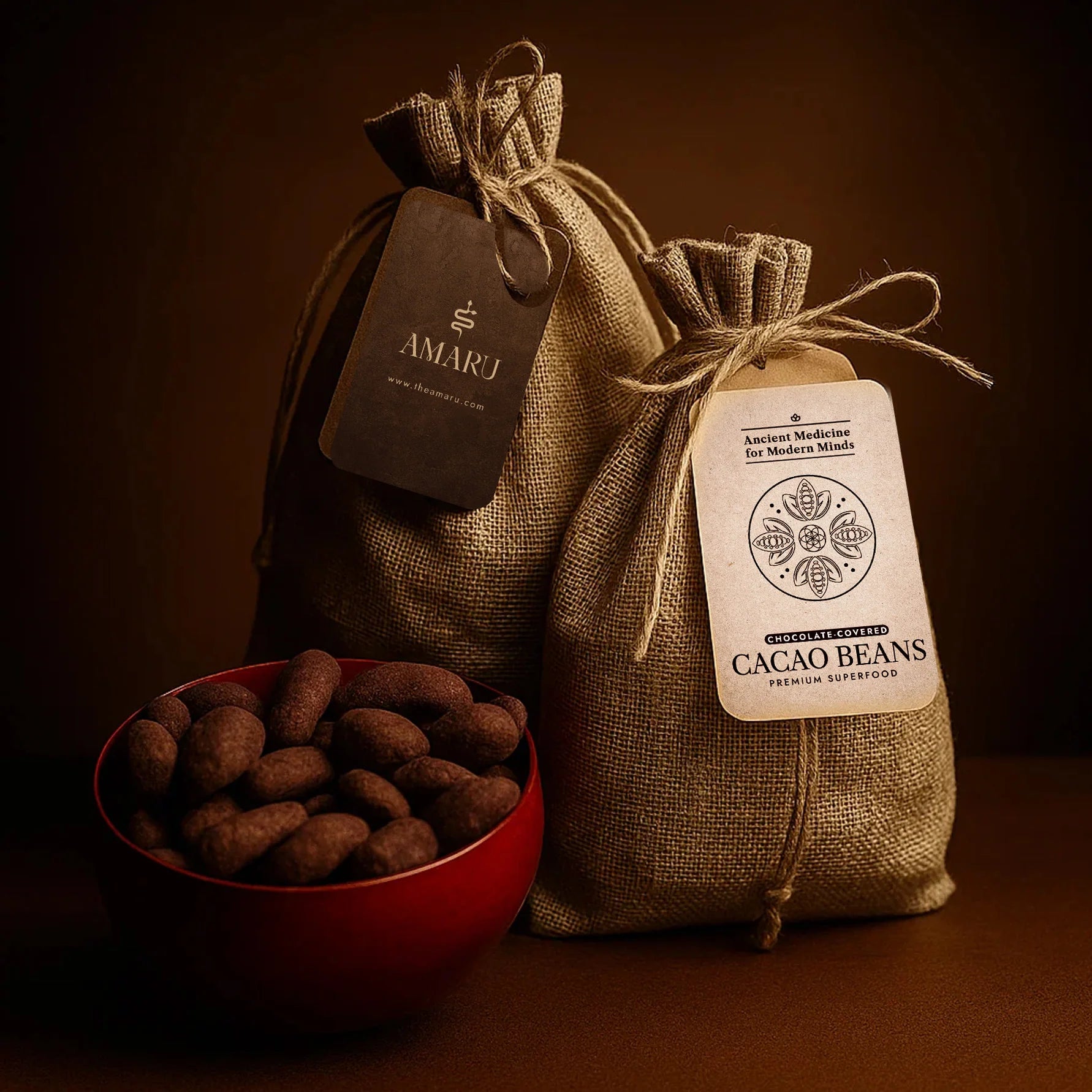 Chocolate Covered Cacao Beans 12oz