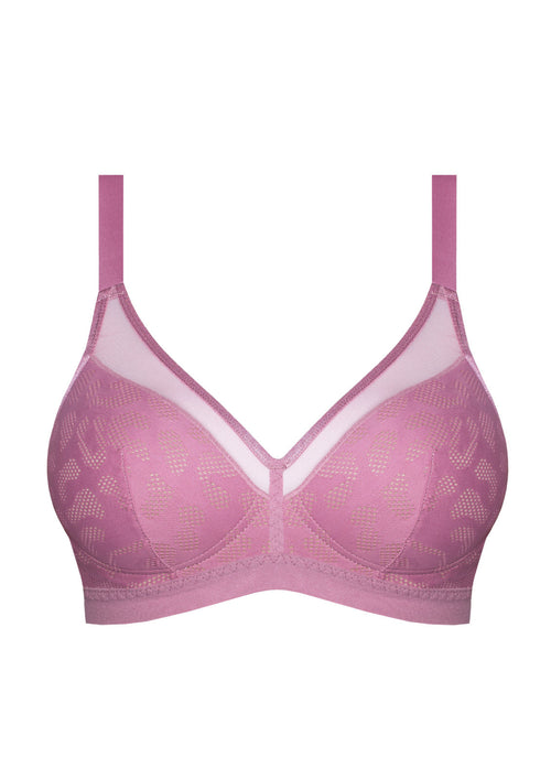 Alex No-Wire Soft Foam Bra A540
