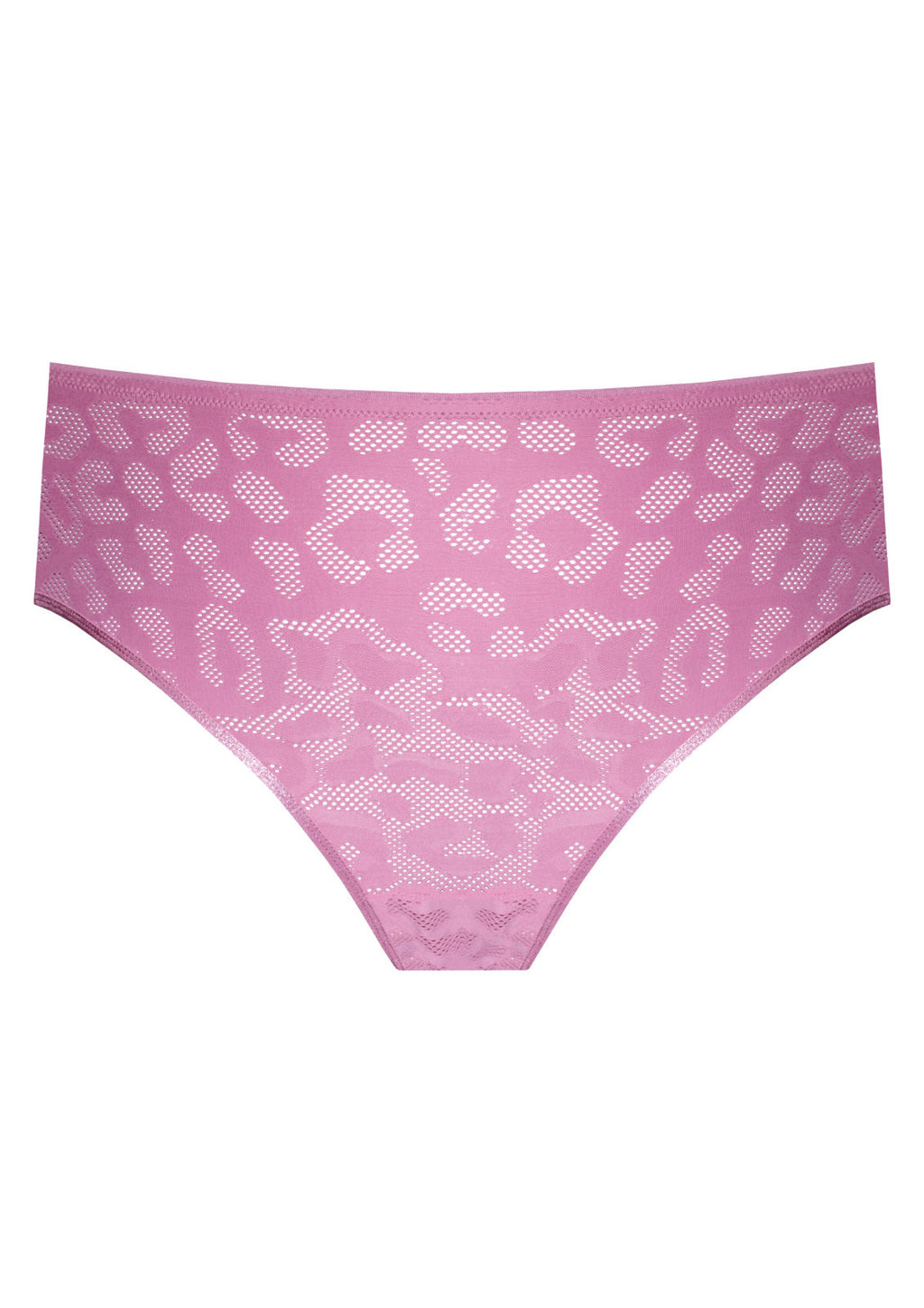 Alex Seamless-Finish Brief B500